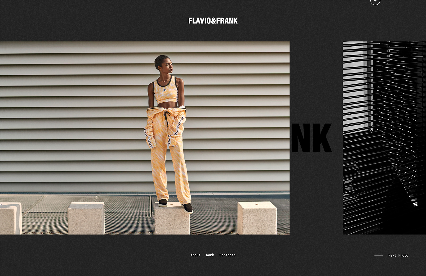 flavio and frank - professional model and fashion photographers website design