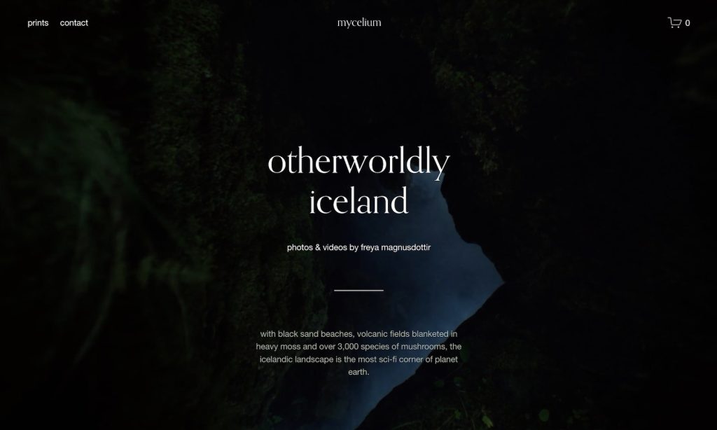 immersive storytelling with scroll based animations