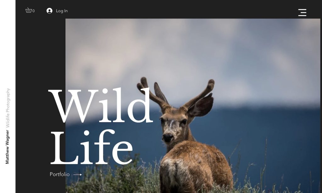 wildlife photographer template